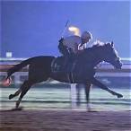 us racing bet